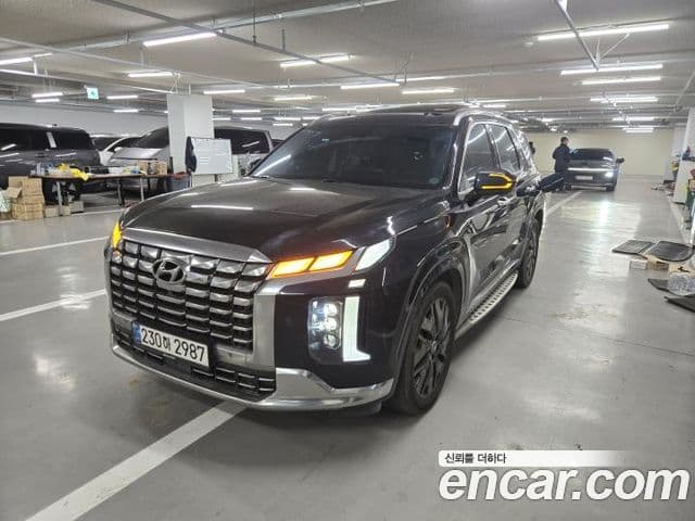 Hyundai The / новый New Palisade VIP, 2023 1