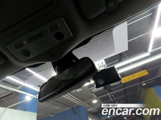 Renault Korea(Samsung) SM7 Nova LPLI 2.0 LPe для людей с инвалидностью, 2018 16