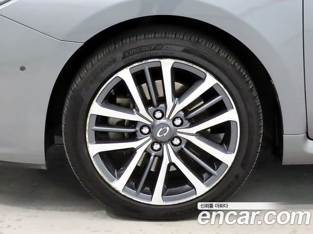 Renault Korea(Samsung) SM7 Nova LPLI 2.0 LPe для людей с инвалидностью, 2018 20