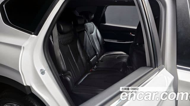 Hyundai Santa Fe TM Premium, 2020 13