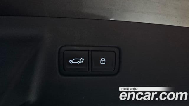 Hyundai Santa Fe (MX5) Calligraphy, 2024 20