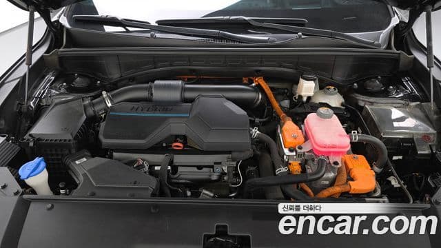 Kia Sorento 4세대 Gravity, 2021 6