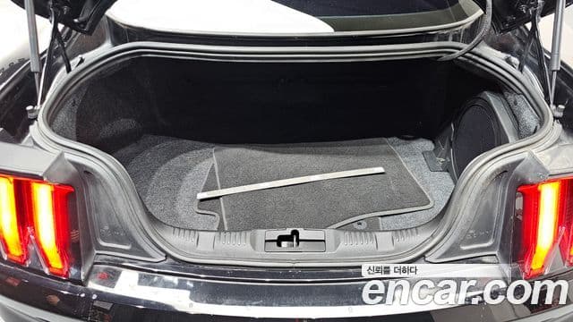 Ford Mustang купе, 2019 20