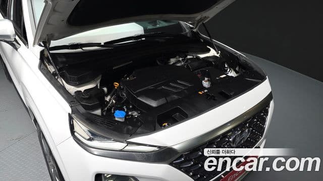 Hyundai Santa Fe TM Inspiration, 2019 6