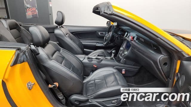 Ford Mustang GT кабриолет, 2019 11