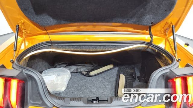 Ford Mustang GT кабриолет, 2019 20