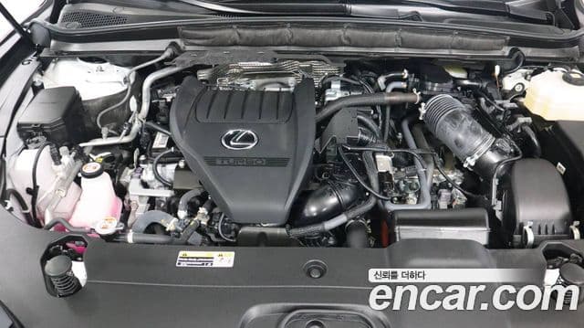 Lexus RX500h 5세대 F-Sport, 2024 6