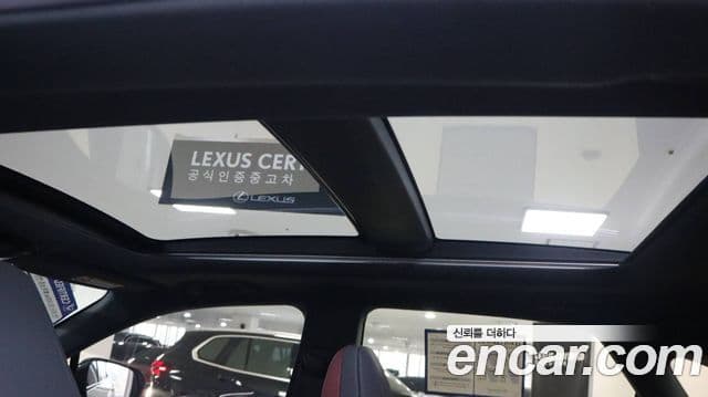 Lexus RX500h 5세대 F-Sport, 2024 19