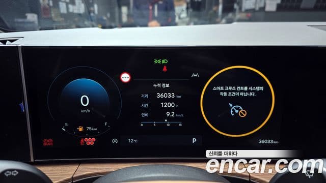 Hyundai Santa Fe (MX5) Calligraphy, 2024 8