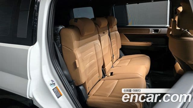 Hyundai Santa Fe (MX5) Calligraphy, 2024 12