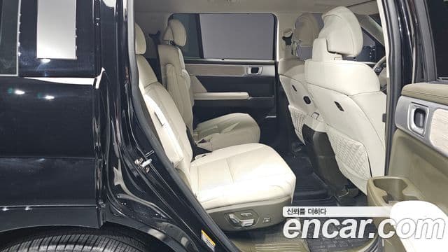 Hyundai Santa Fe (MX5) Calligraphy, 2024 12