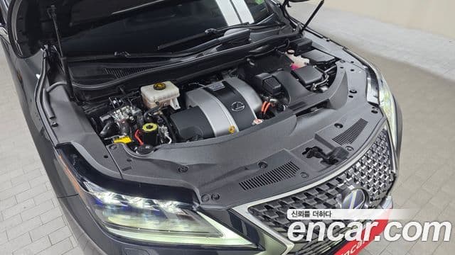 Lexus RX450h 4세대 Executive, 2021 6
