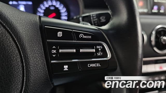 Kia 스팅어 Platinum, 2020 18