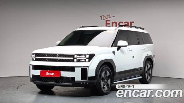 Hyundai Santa Fe (MX5) Calligraphy, 2024 11