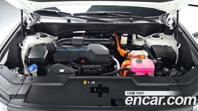 Hyundai Santa Fe (MX5) Calligraphy, 2024 6