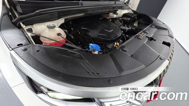 Kia Carnival 4세대 Prestige, 2021 6