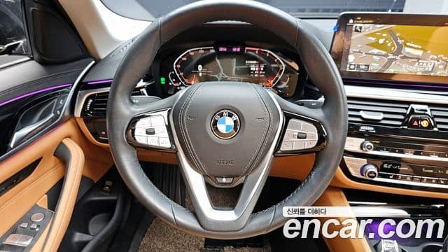BMW 5시리즈 (G30) Luxury, 2022 13