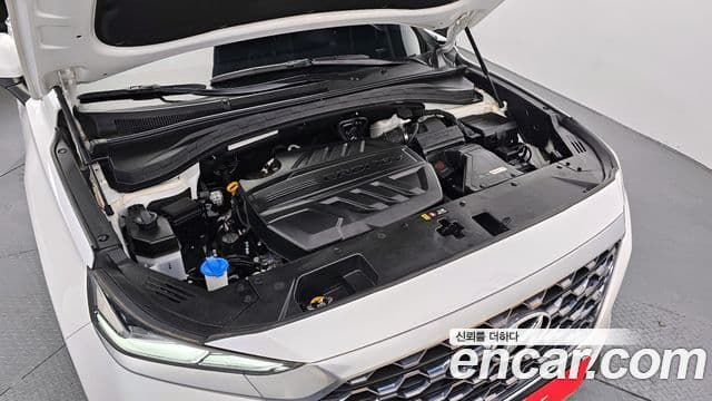 Hyundai Santa Fe TM Exclusive, 2020 6