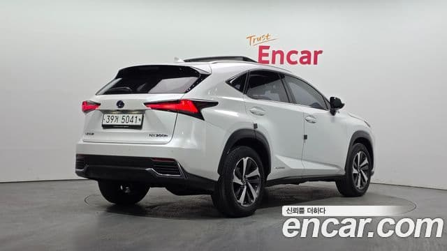 Lexus NX300h Supreme, 2018 2