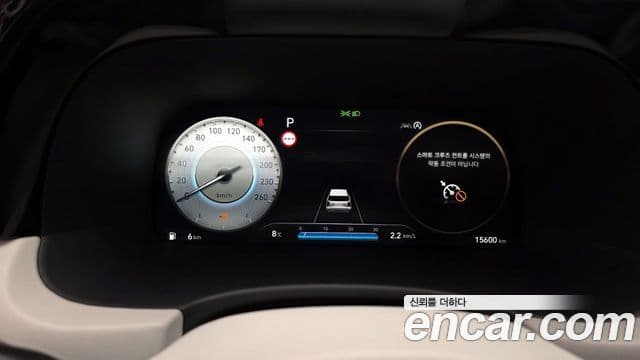 Hyundai The / новый New Palisade VIP, 2023 8