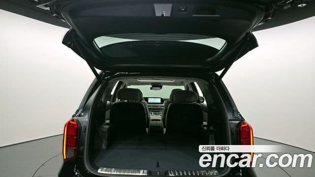 Hyundai The / новый New Palisade VIP, 2023 20
