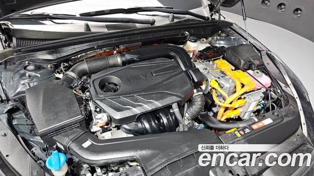 Kia K5 гибрид 3세대 Noblesse, 2021 6