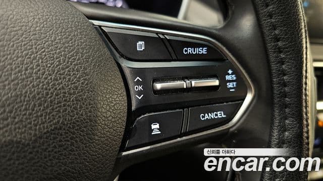 Hyundai Santa Fe TM Exclusive Special, 2019 18