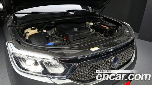 KG모빌리티(SsangYong) G4 Rexton Eurasia Edition, 2018 6