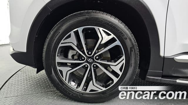 Hyundai Santa Fe TM Exclusive Special, 2019 все фото