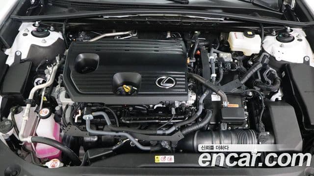 Lexus ES300h 7세대 Luxury Plus, 2025 6