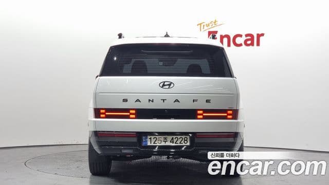 Hyundai Santa Fe (MX5) Calligraphy, 2024 4