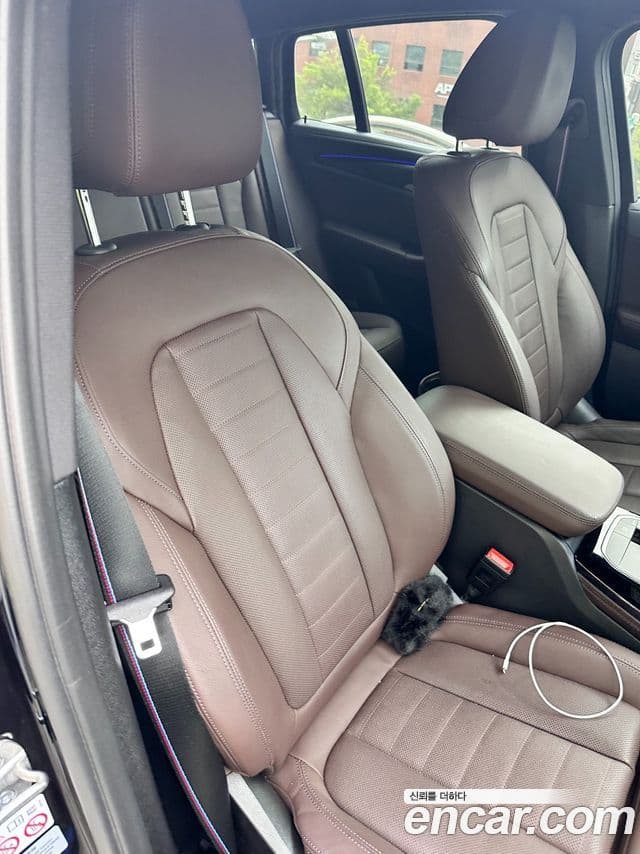 BMW X4 (G02) xDrive20i M Sport Pro, 2023 11