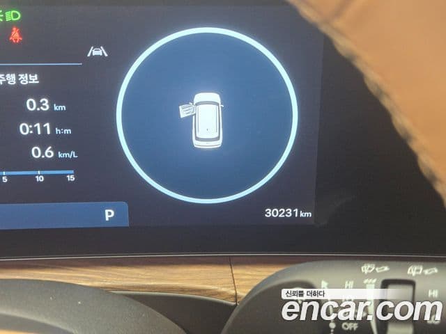 Hyundai Santa Fe (MX5) Calligraphy, 2024 8