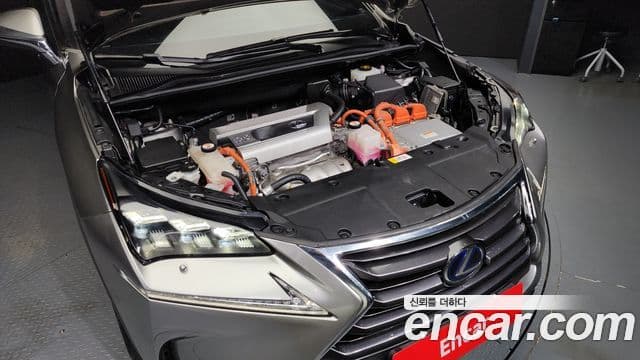 Lexus NX300h Supreme, 2017 6