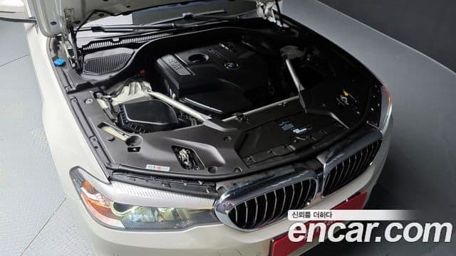 BMW 5시리즈 (G30) 530i Luxury Plus, 2019 6