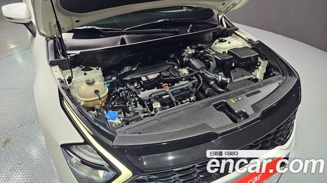 Kia Sportage 5세대 Prestige, 2022 6