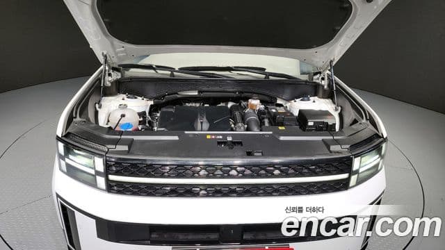 Hyundai Santa Fe (MX5) Calligraphy, 2024 6