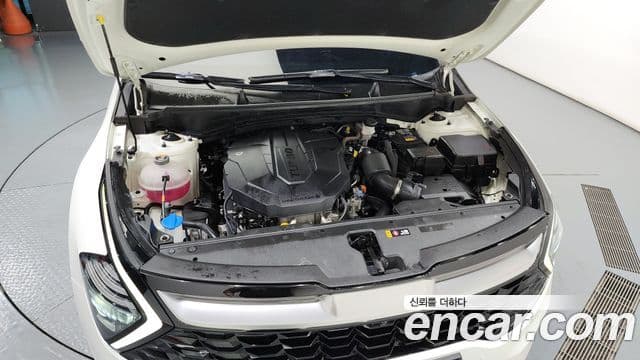 Kia Sportage 5세대 Signature, 2022 17