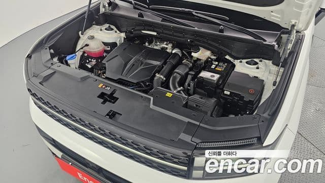 Hyundai Santa Fe (MX5) Calligraphy, 2024 6