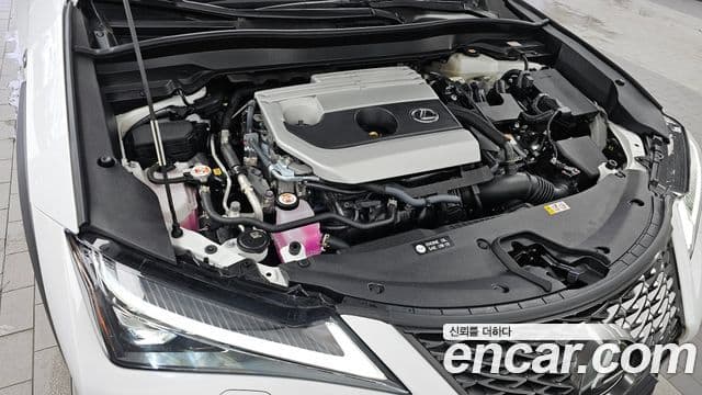 Lexus UX250h 2.0 F-Sport 2WD, 2024 6