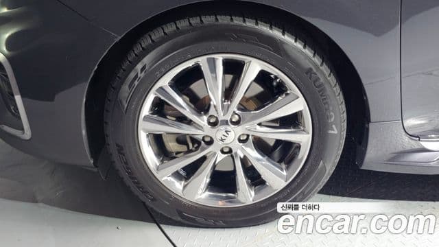 Kia The / новый New Carnival Special, 2019 все фото