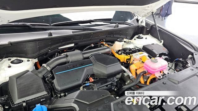 Hyundai Santa Fe (MX5) Calligraphy, 2024 6