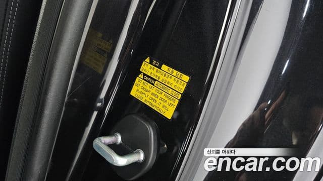 Genesis EQ900 Premium Luxury, 2018 18