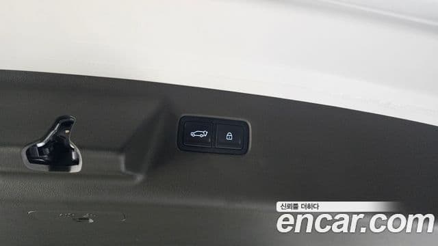 Hyundai Santa Fe (MX5) Calligraphy, 2024 19