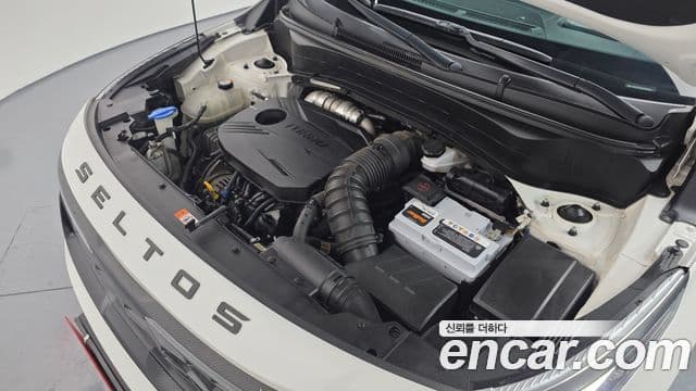 Kia Seltos Noblesse, 2020 6