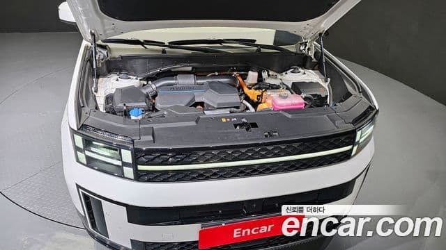 Hyundai Santa Fe (MX5) Calligraphy, 2024 6