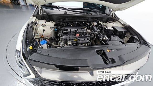 Kia Sportage 5세대 Signature, 2023 6