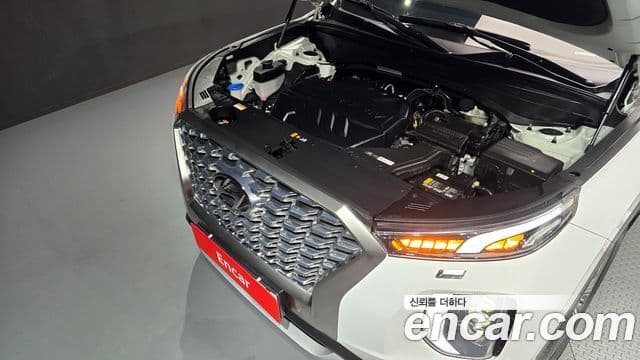 Hyundai Palisade Prestige, 2022 6