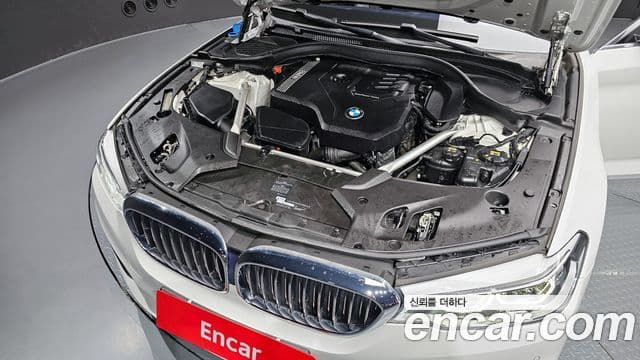 BMW 5시리즈 (G30) Luxury, 2020 6