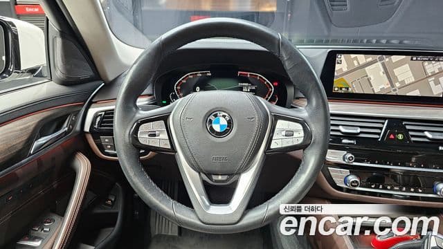 BMW 5시리즈 (G30) Luxury, 2020 13
